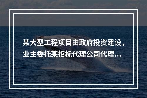 某大型工程项目由政府投资建设，业主委托某招标代理公司代理施工