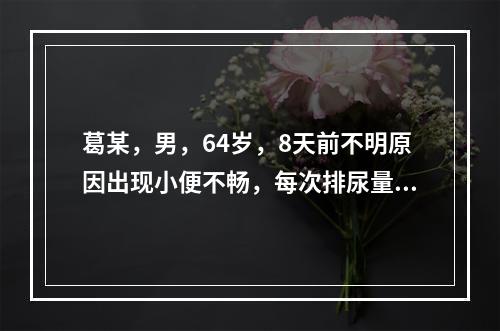 葛某，男，64岁，8天前不明原因出现小便不畅，每次排尿量少，