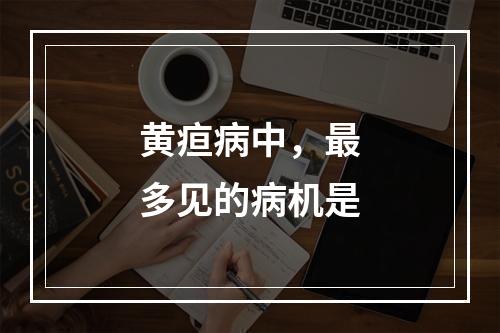 黄疸病中，最多见的病机是