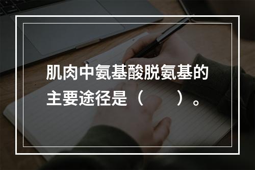 肌肉中氨基酸脱氨基的主要途径是（　　）。