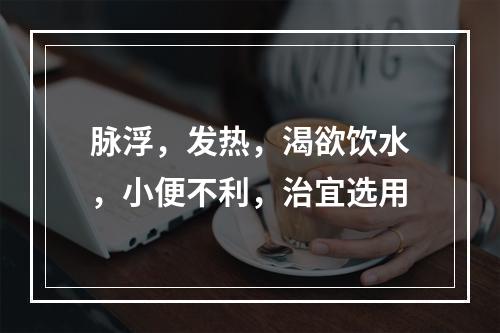 脉浮，发热，渴欲饮水，小便不利，治宜选用