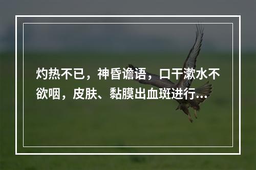 灼热不已，神昏谵语，口干漱水不欲咽，皮肤、黏膜出血斑进行性扩