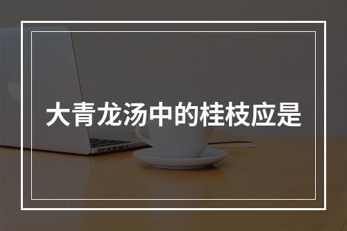 大青龙汤中的桂枝应是