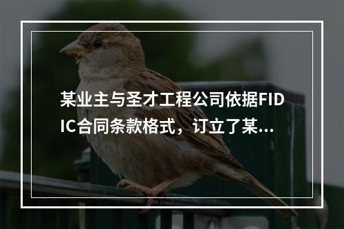 某业主与圣才工程公司依据FIDIC合同条款格式，订立了某工程