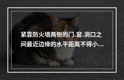 紧靠防火墙两侧的门.窗.洞口之间最近边缘的水平距离不得小于（