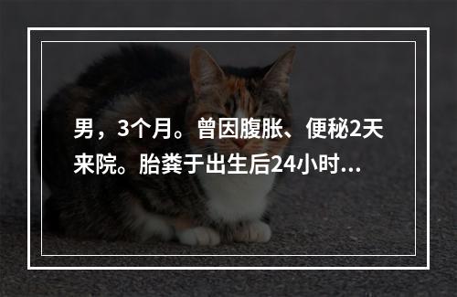 男，3个月。曾因腹胀、便秘2天来院。胎粪于出生后24小时仍未