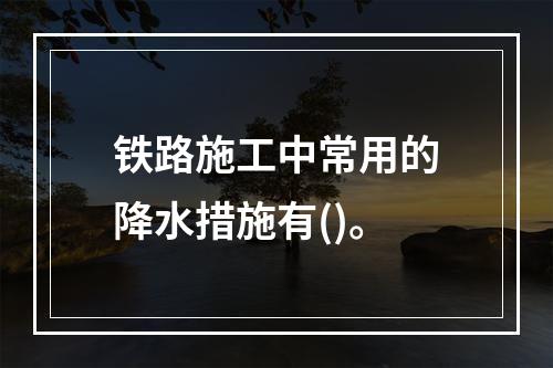 铁路施工中常用的降水措施有()。