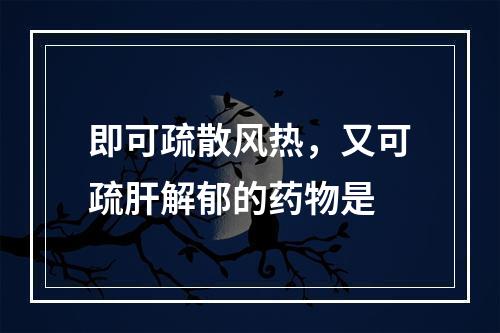 即可疏散风热，又可疏肝解郁的药物是