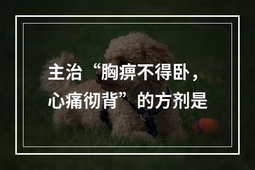 主治“胸痹不得卧，心痛彻背”的方剂是