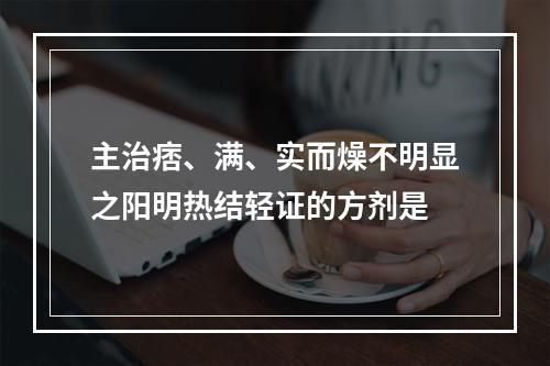 主治痞、满、实而燥不明显之阳明热结轻证的方剂是