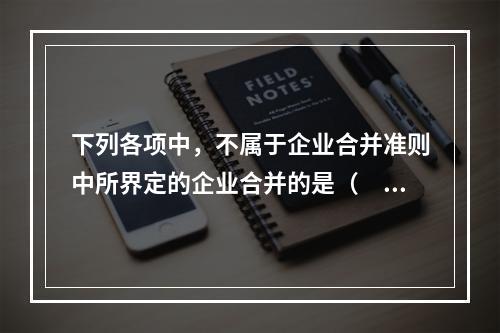 下列各项中，不属于企业合并准则中所界定的企业合并的是（  ）