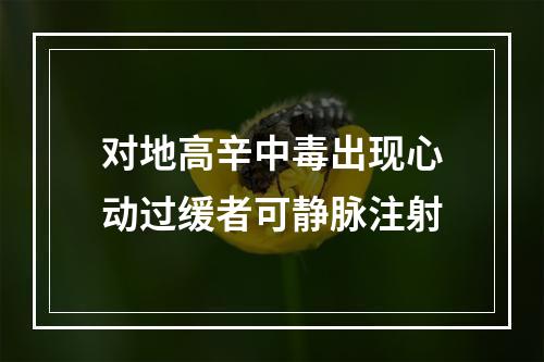 对地高辛中毒出现心动过缓者可静脉注射