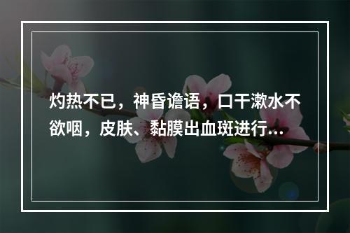 灼热不已，神昏谵语，口干漱水不欲咽，皮肤、黏膜出血斑进行性扩