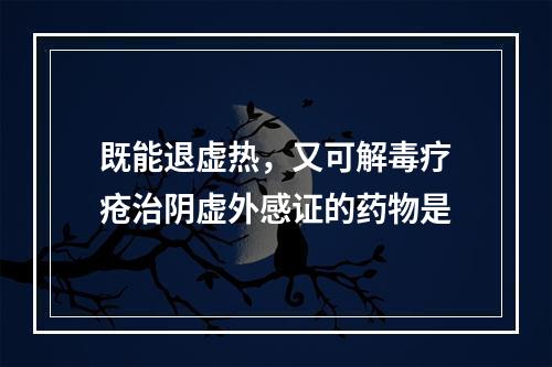 既能退虚热，又可解毒疗疮治阴虚外感证的药物是