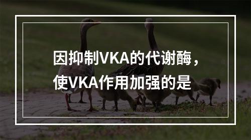 因抑制VKA的代谢酶，使VKA作用加强的是