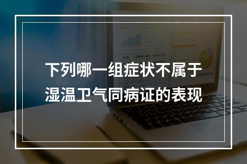 下列哪一组症状不属于湿温卫气同病证的表现