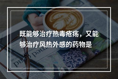 既能够治疗热毒疮疡，又能够治疗风热外感的药物是