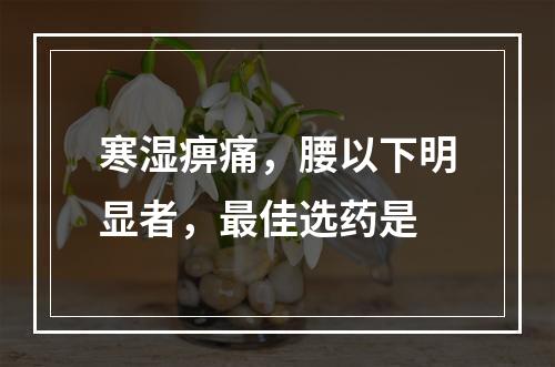 寒湿痹痛，腰以下明显者，最佳选药是