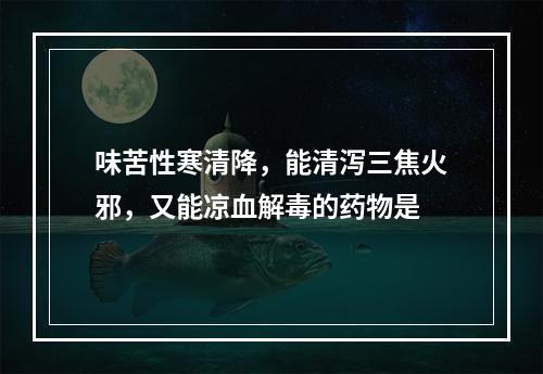 味苦性寒清降，能清泻三焦火邪，又能凉血解毒的药物是