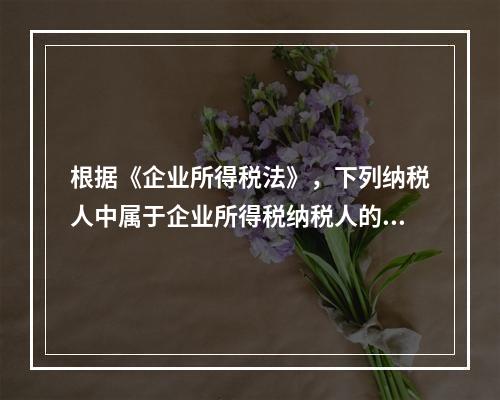 根据《企业所得税法》，下列纳税人中属于企业所得税纳税人的是（