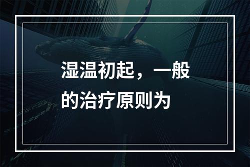 湿温初起，一般的治疗原则为