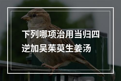 下列哪项治用当归四逆加吴茱萸生姜汤