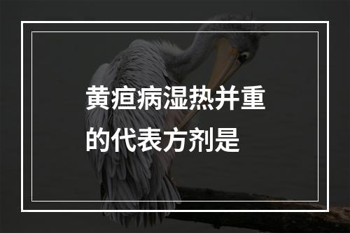 黄疸病湿热并重的代表方剂是