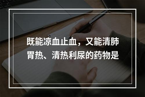 既能凉血止血，又能清肺胃热、清热利尿的药物是