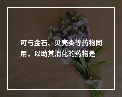 可与金石、贝壳类等药物同用，以助其消化的药物是