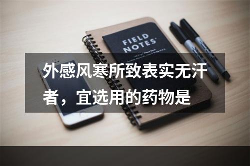 外感风寒所致表实无汗者，宜选用的药物是