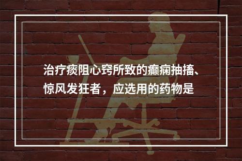 治疗痰阻心窍所致的癫痫抽搐、惊风发狂者，应选用的药物是