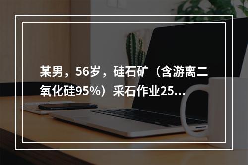 某男，56岁，硅石矿（含游离二氧化硅95%）采石作业25年，