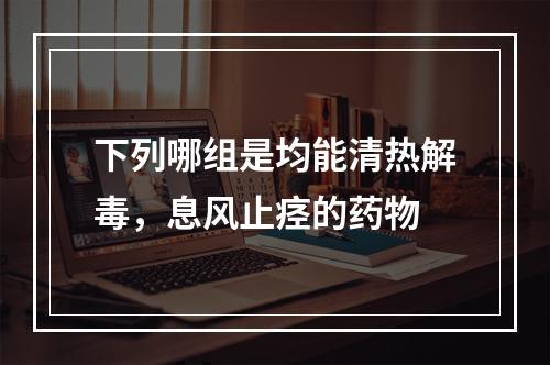 下列哪组是均能清热解毒，息风止痉的药物