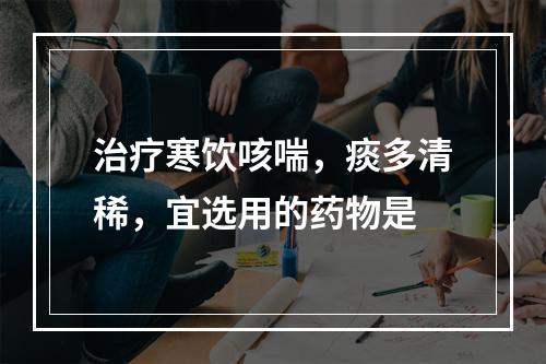 治疗寒饮咳喘，痰多清稀，宜选用的药物是