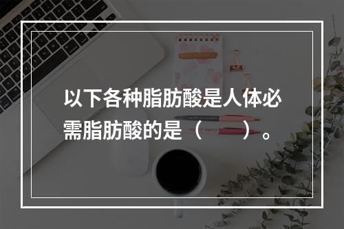 以下各种脂肪酸是人体必需脂肪酸的是（　　）。