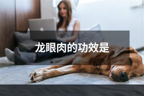 龙眼肉的功效是