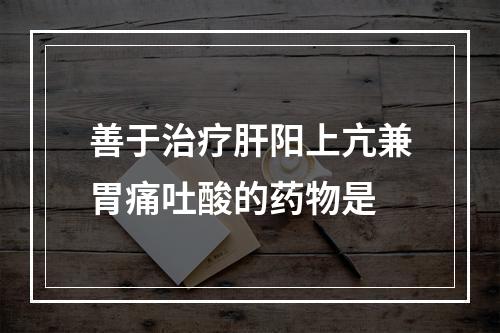 善于治疗肝阳上亢兼胃痛吐酸的药物是