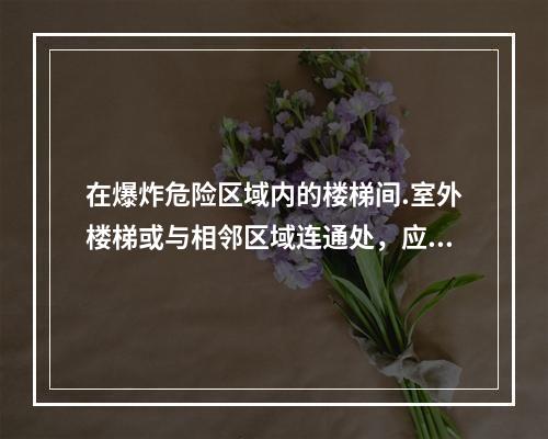 在爆炸危险区域内的楼梯间.室外楼梯或与相邻区域连通处，应设置