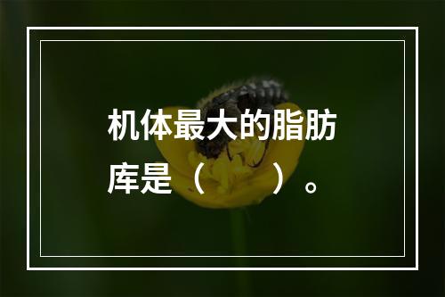 机体最大的脂肪库是（　　）。