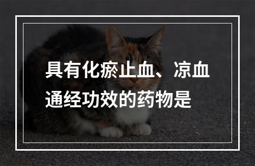 具有化瘀止血、凉血通经功效的药物是