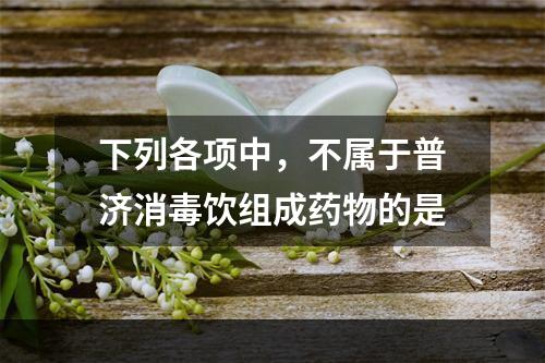 下列各项中，不属于普济消毒饮组成药物的是