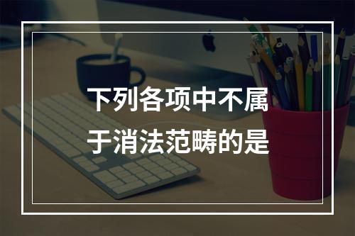 下列各项中不属于消法范畴的是