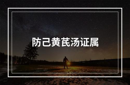 防己黄芪汤证属