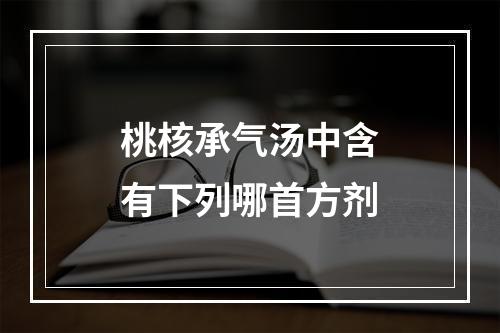 桃核承气汤中含有下列哪首方剂