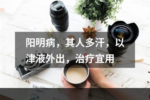 阳明病，其人多汗，以津液外出，治疗宜用