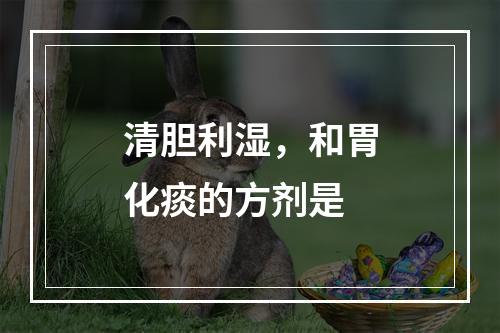 清胆利湿，和胃化痰的方剂是