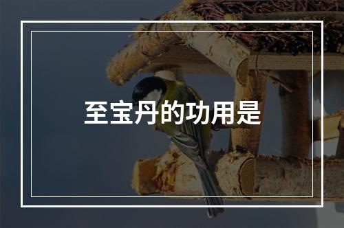 至宝丹的功用是