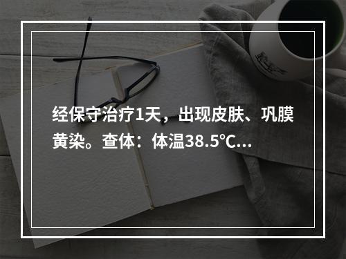 经保守治疗1天，出现皮肤、巩膜黄染。查体：体温38.5℃，右