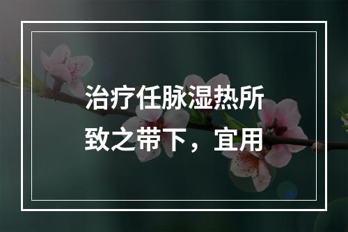 治疗任脉湿热所致之带下，宜用