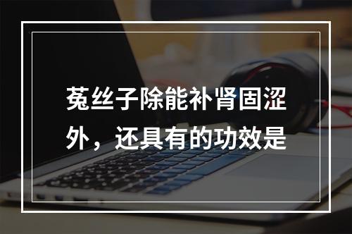 菟丝子除能补肾固涩外，还具有的功效是